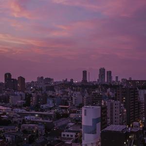 枯萎之花漫画免费下拉式快看漫画
