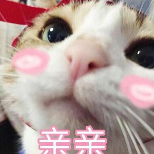 枯萎之花漫画免费下拉式快看漫画
